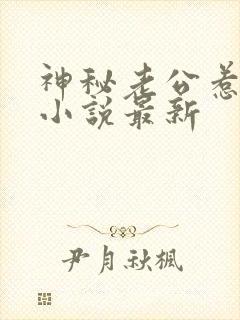 神秘老公惹不起小说最新