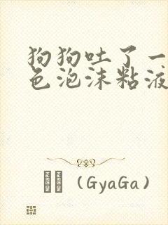 狗狗吐了一滩白色泡沫粘液应该咋办