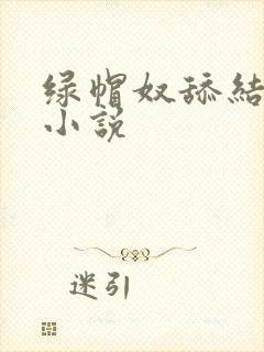 绿帽奴舔结合处小说