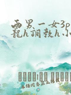 两男一女3p双龙h调教h小说