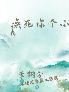 操死你个小骚货h