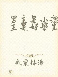 男主是小混混女主是好学生的小说