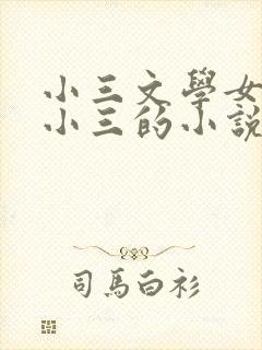 小三文学女主是小三的小说