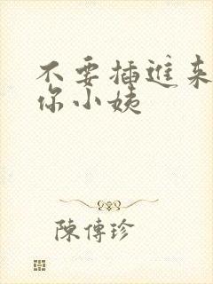 不要插进来我是你小姨