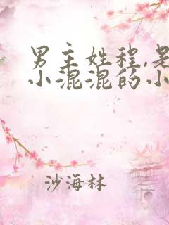 男主姓程,是个小混混的小说