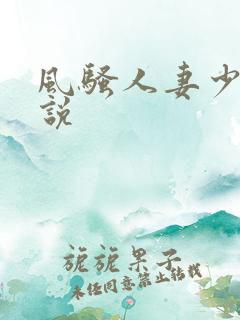 风骚人妻少妇小说