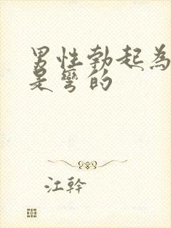 男性勃起为什么是弯的