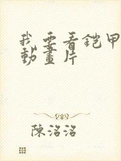 我要看铠甲勇士动画片