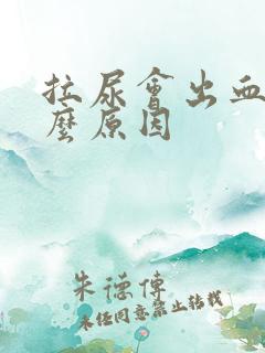 拉尿会出血是什么原因