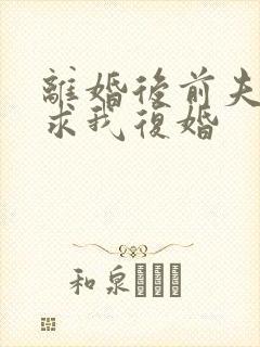 离婚后前夫哭着求我复婚