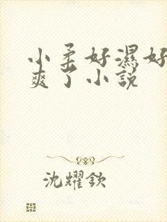 小柔好湿好紧太爽了小说