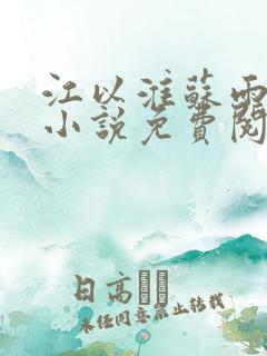 江以淮苏雨眠的小说免费阅读全文