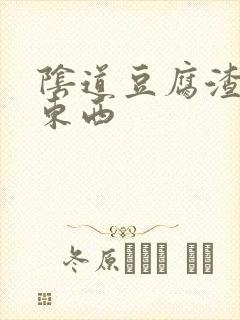 阴道豆腐渣一样东西