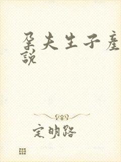 孕夫生子产乳小说