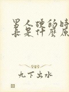 男人硬的时间不长是什么原因