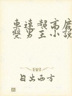 车速超高废文的双男主小说推荐免费