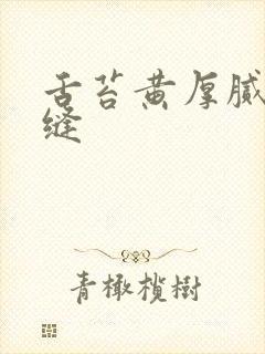 舌苔黄厚腻有裂缝