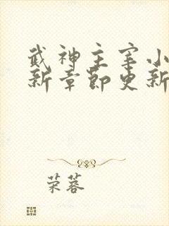 武神主宰小说最新章节更新