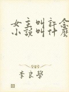 女主叫许念这本小说叫什么