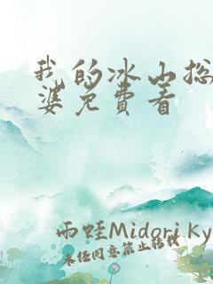 我的冰山总裁老婆免费看