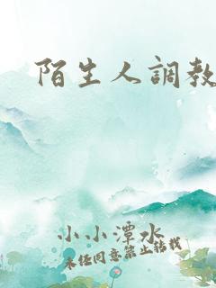 陌生人调教小说