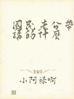 国民老公带回家讲的什么