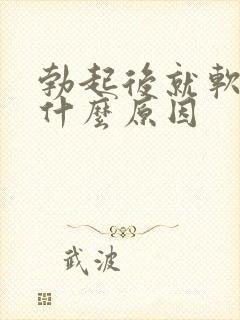 勃起后就软了是什么原因