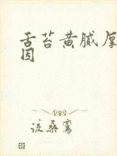 舌苔黄腻厚的原因