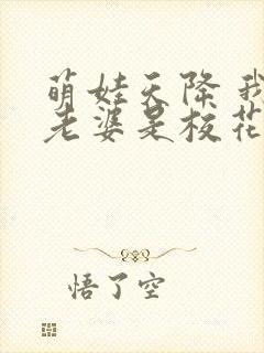 萌娃天降 我的老婆是校花短剧