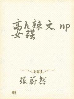 高h辣文 np女强