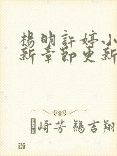 杨明许婷小说最新章节更新时间