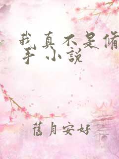 我真不是修仙高手 小说