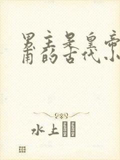 男主是皇帝姓皇甫的古代小说