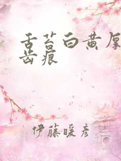 舌苔白黄厚腻有齿痕