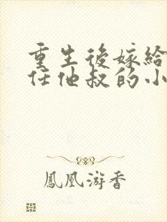 重生后嫁给了前任他叔的小说