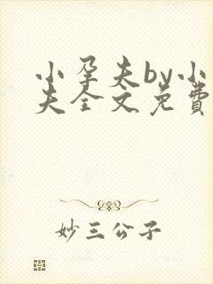 小孕夫by小孕夫全文免费阅读