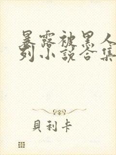 暴露被黑人强系列小说合集