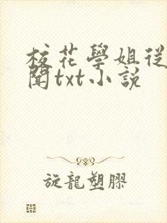 校花学姐从无绯闻txt小说