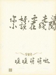 你好,要老婆吗小说在线阅读