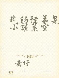 我的徒弟是女帝小说叶空