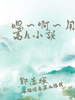 嗯～啊～用力～高h小说