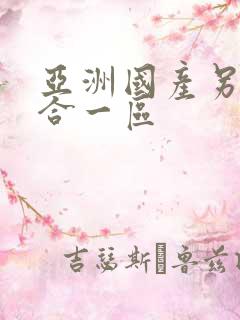 亚洲国产另类综合一区