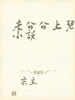 老公公上儿媳妇小说