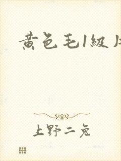 黄色毛1级片