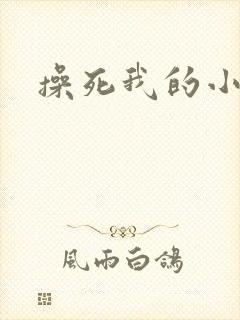操死我的小逼