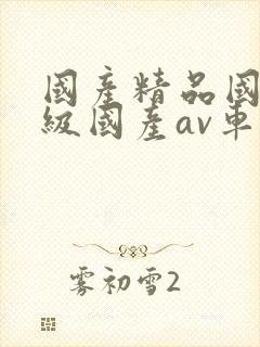 国产精品国产三级国产av车上的