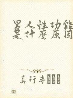 男人性功能下将是什么原因