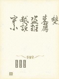 穿越盗墓双男主小说推荐