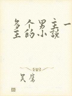 多个男主一个女主的小说