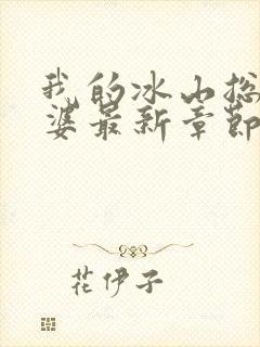 我的冰山总裁老婆最新章节阅读